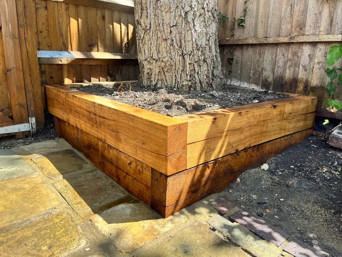 Timber sleeper raised bed built around a mature tree trunk, Kew