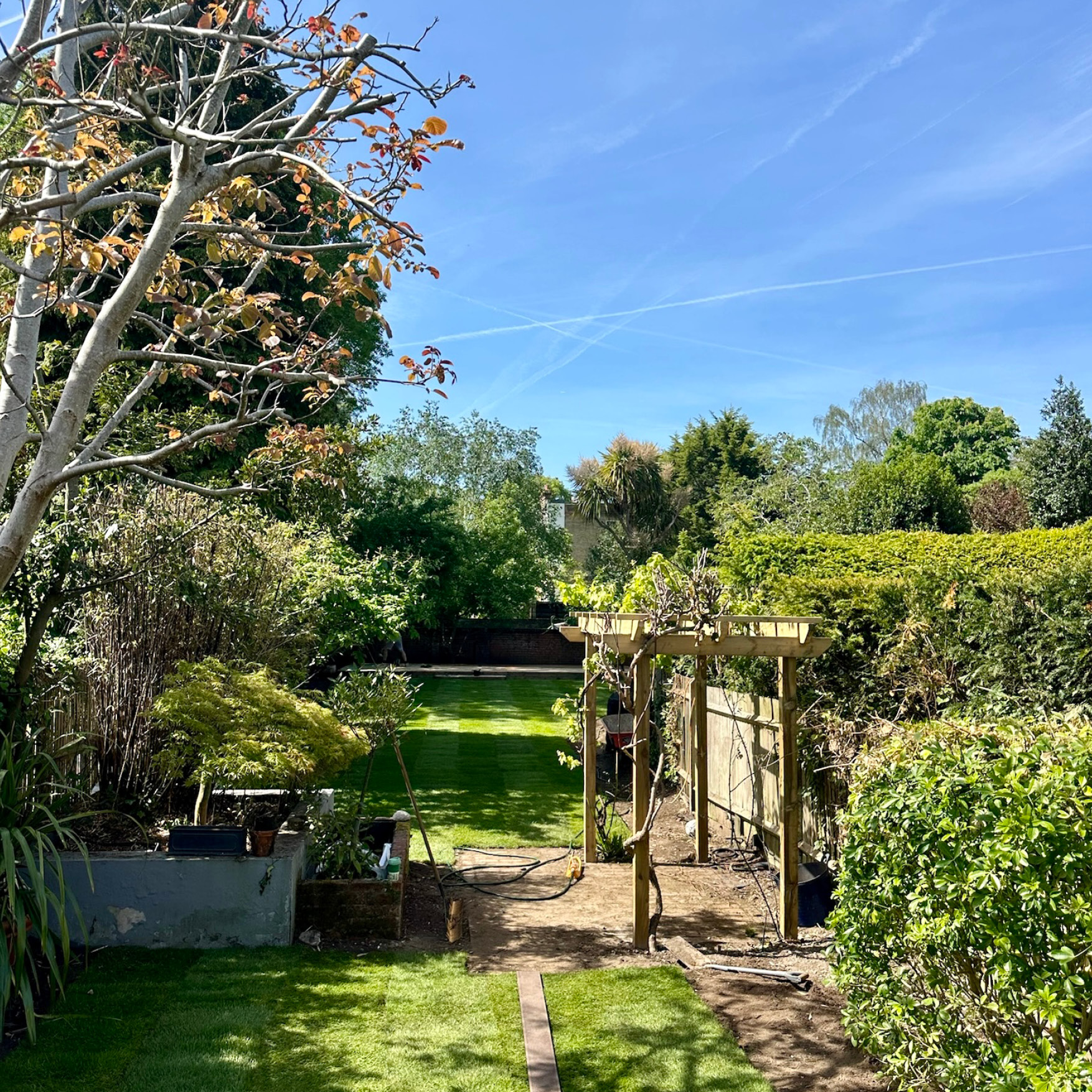 Stage one in progress: new lawn laid down the garden with the new pergola frame set at the far end
