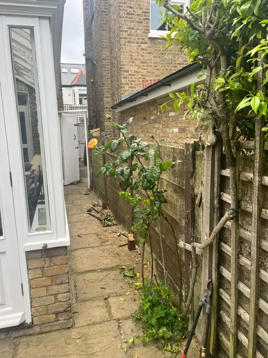 Before: old fence and trellis along a side passage in Twickenham