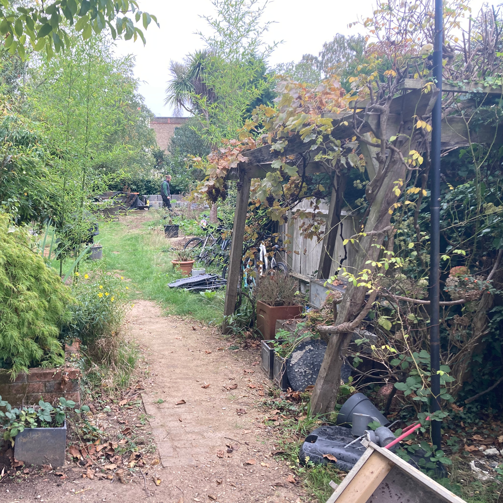 Before: rough grass path, rotten pergola and overgrown borders in a tired back garden