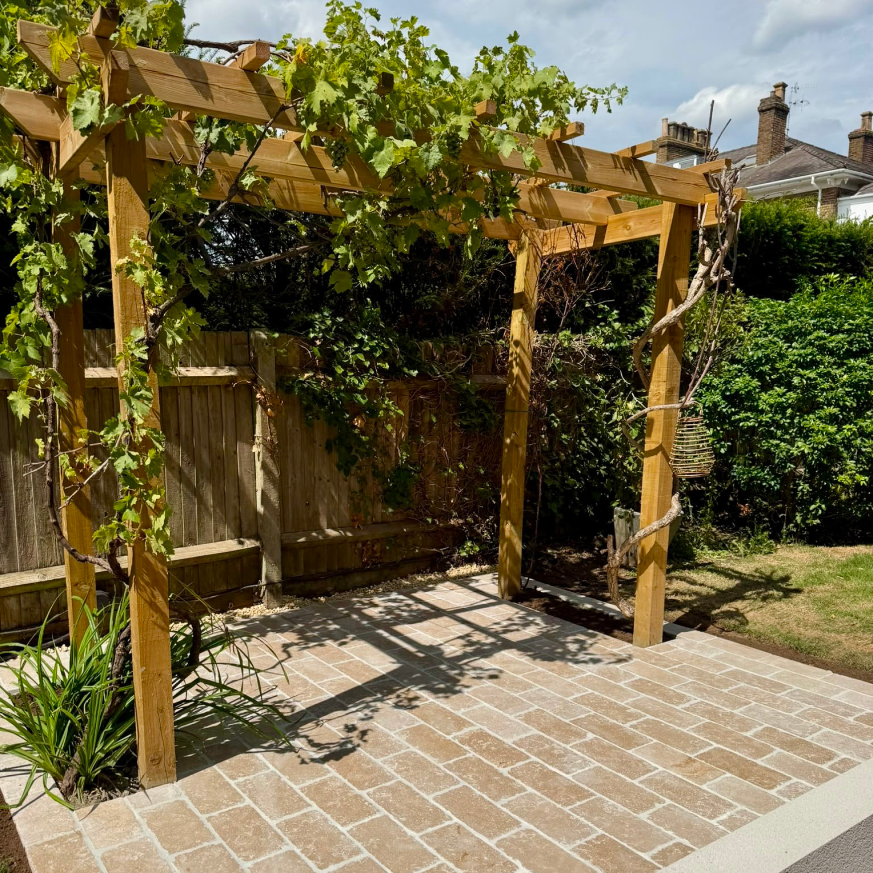 After: new softwood pergola carrying the original grape vine over a natural limestone patio