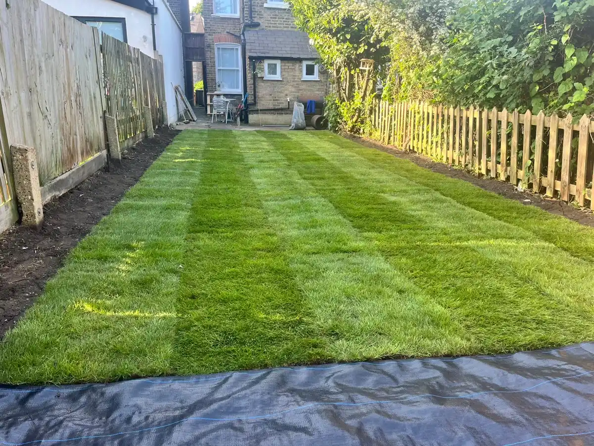 New turf lawn looking back towards the house, Kingston upon Thames