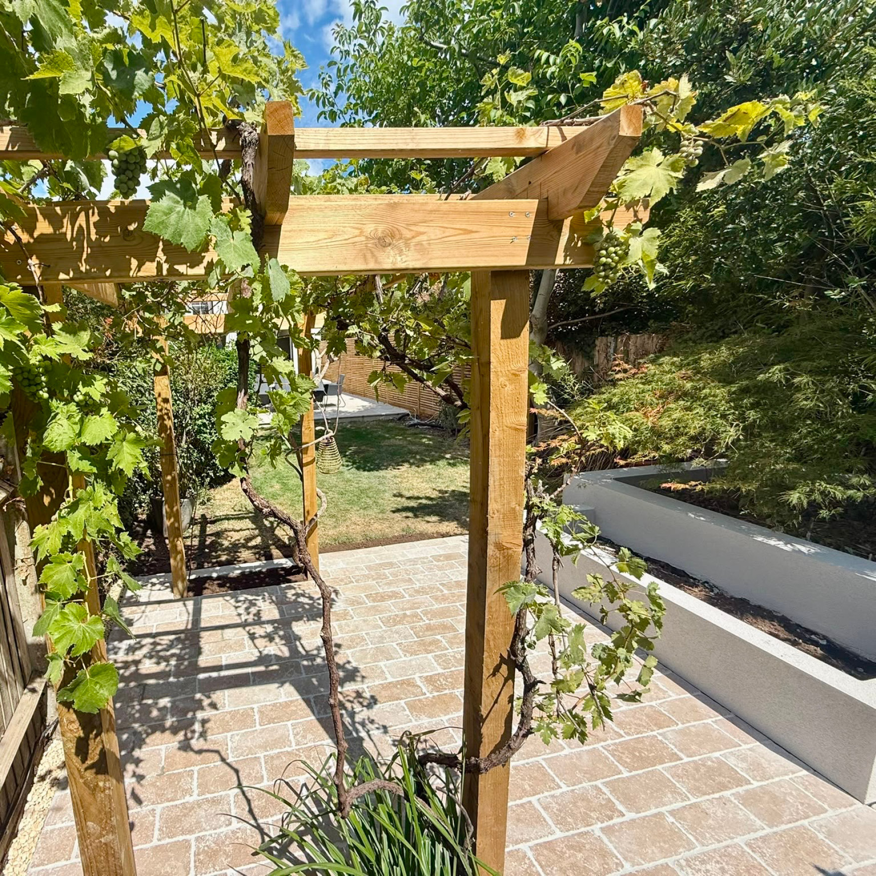 Limestone patio under a vine-covered pergola with a bespoke rendered planter after a two stage garden rebuild